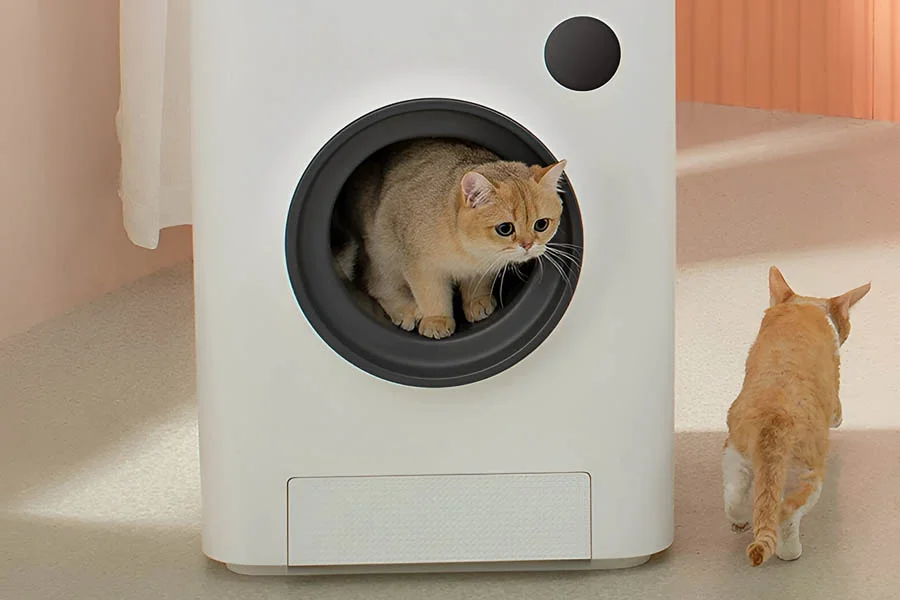 robot cat litter boxes