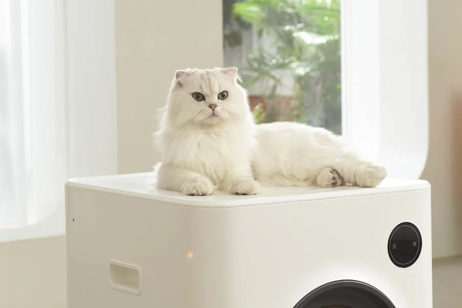 automatic scooping litter box