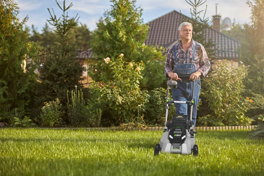 where to buy a lawn mower